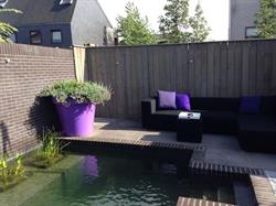 Hoveniersbedrijf Van Spelde, Udenhout openingstijden