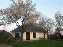 Atelier Riel Zesgehuchten Geldrop - openingstijden