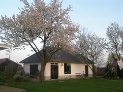 Atelier Riel Zesgehuchten Geldrop - openingstijden
