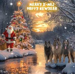 Trimsalon Cats & Dogs, Budel openingstijden