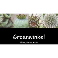 Groenwinkel Bloem Sier & Kunst Bloemenspeciaalzaak, Wijchen openingstijden