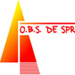 Openbare Basisschool De Springplank, Siddeburen openingstijden