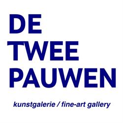 De Twee Pauwen Bv, 's-Gravenhage openingstijden