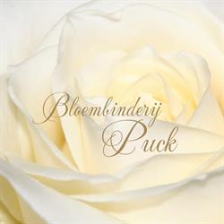 Puck, Tiel openingstijden