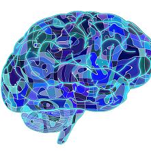 Neurotherapie Centrum Hilversum, openingstijden