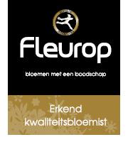 Bloembinderij Prophyta, Scheemda openingstijden