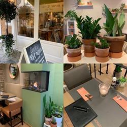Lunchroom My Way, Sluis openingstijden