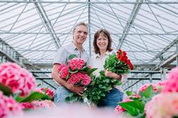 Bloemenkwekerij Reintjes, Veulen openingstijden