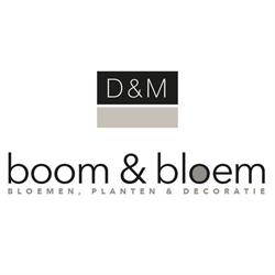 Boom & Bloem, Breda openingstijden