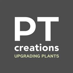 PT-Creations BV, Wijk en Aalburg openingstijden