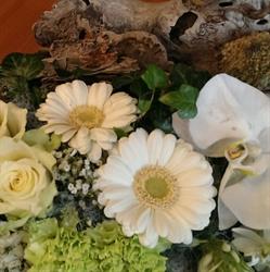 All About Flowers, Tilburg openingstijden