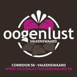 Oogenlust Valkenswaard, openingstijden