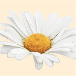 Stichting Hospice Mariaweide, Venlo openingstijden