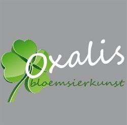Bloemsierkunst Oxalis, 's-Hertogenbosch openingstijden