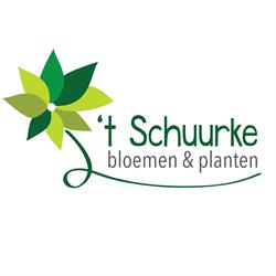Bloemkwekerij 't Schuurke, Nuenen openingstijden