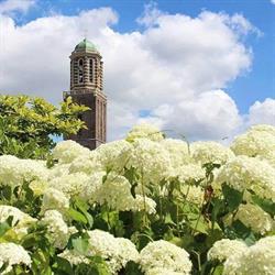 Vink Administratie, Zwolle openingstijden