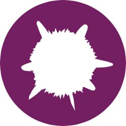 Sirius, Maastricht openingstijden