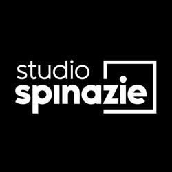 Studio Spinazie, Venray openingstijden