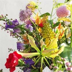 de Jong Fleuriade, Enkhuizen openingstijden