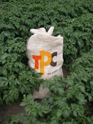 The Potato Company Bv, Emmeloord openingstijden