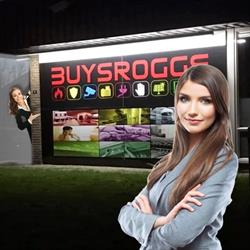 Buysrogge Safe BV, Assen openingstijden