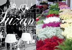 Suzan's Bloementheater, Haarlem openingstijden