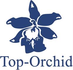 Top-Orchid Bv, Sint Maarten openingstijden