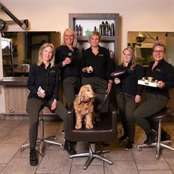 Kapsalon Hairlabel, IJmuiden openingstijden
