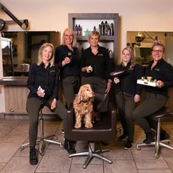 Kapsalon Hairlabel, IJmuiden openingstijden