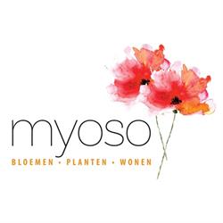 Myoso Vof, Hengelo openingstijden