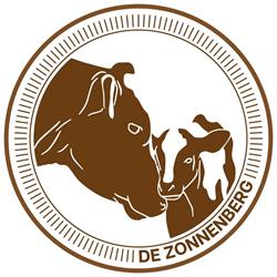 Bert Zonnenberg, Herpen openingstijden