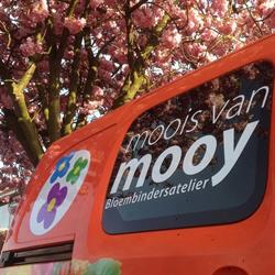 Moois van Mooy Bloembindersatelier, Vlaardingen openingstijden
