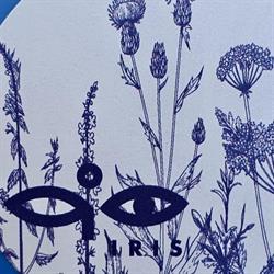 Bloemenmagazijn De Iris, 's-Gravenhage openingstijden