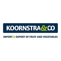 Koornstra & Co. Bv, De Lier openingstijden
