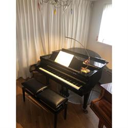 Alexandra Lindeboom Pianolessen, Krommenie openingstijden