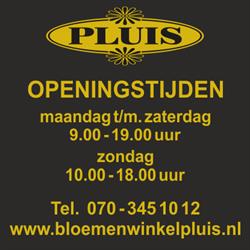 Bloemenwinkel Pluis, 's-Gravenhage openingstijden