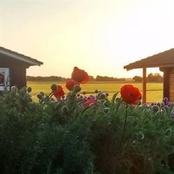 Camping Vorrelveen, Beilen openingstijden
