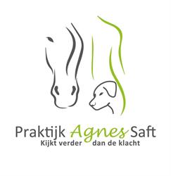 Praktijk Agnes Saft, Hierden openingstijden