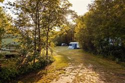 Camping Tikvah, Hooghalen openingstijden