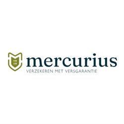 Mercurius Verzekeringen, Nijkerk openingstijden