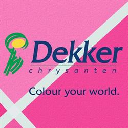 Dekker Chrysanten Bv, Hensbroek openingstijden