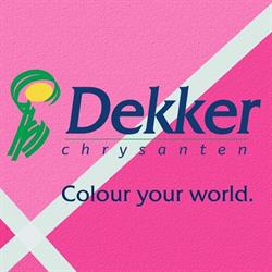 Dekker Chrysanten Bv, Hensbroek openingstijden