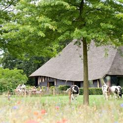 Vergaderlocatie Landgoed de Hoevens, Alphen openingstijden