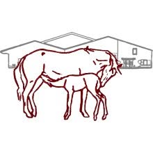 Paardenkliniek de Veluwe, Heerde openingstijden