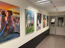 Dierenartsenpraktijk Vorstenbosch, openingstijden