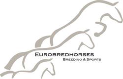 EuroBred Horses, Etten openingstijden