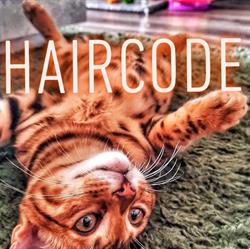 Haircode, Sittard openingstijden