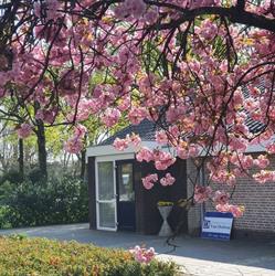 Dierenartspraktijk van Dedem, Dedemsvaart openingstijden