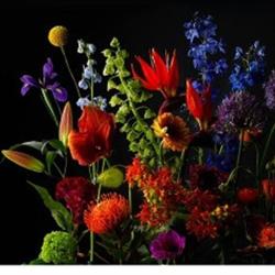Viva-Fleur, Hoogeveen openingstijden