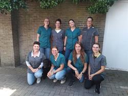 Dierenkliniek Sas van Gent, openingstijden
